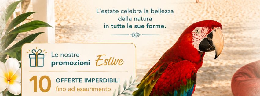 10 Offerte Estate Vibrasonic: Handpan, Diapason e Corsi Sound Healing in Sconto