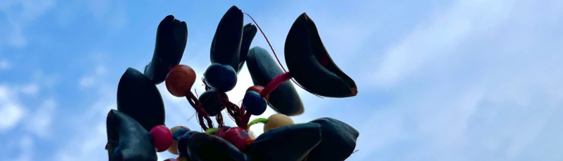 Il ruolo del Cabalonga nella musicoterapia