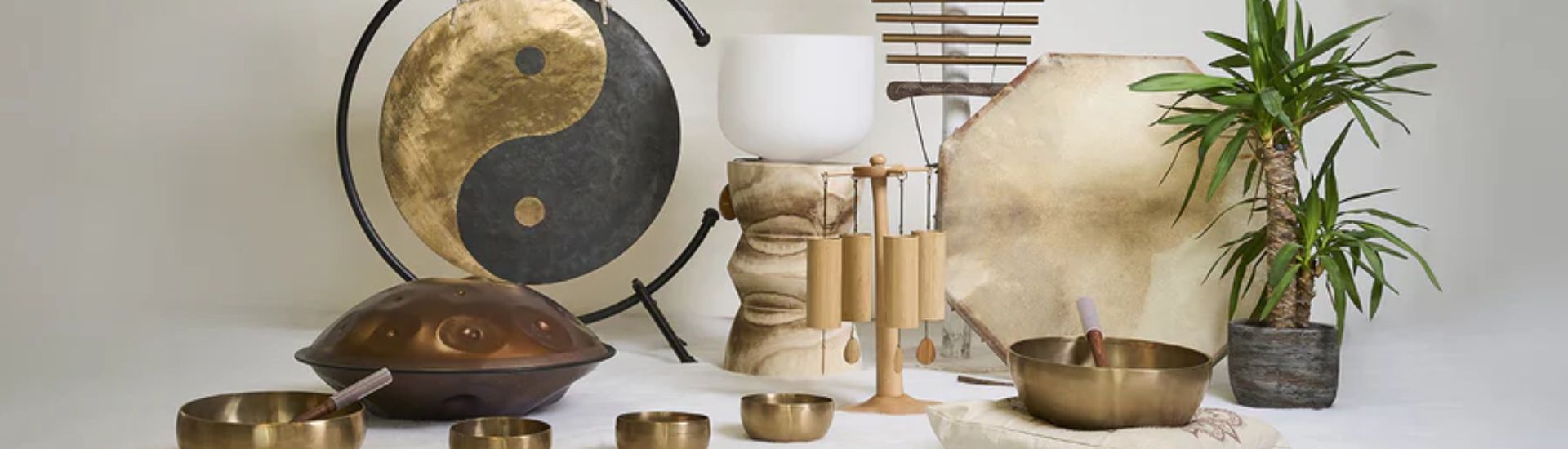 Un anno di crescita, visione e nuove vibrazioni: verso il 2026