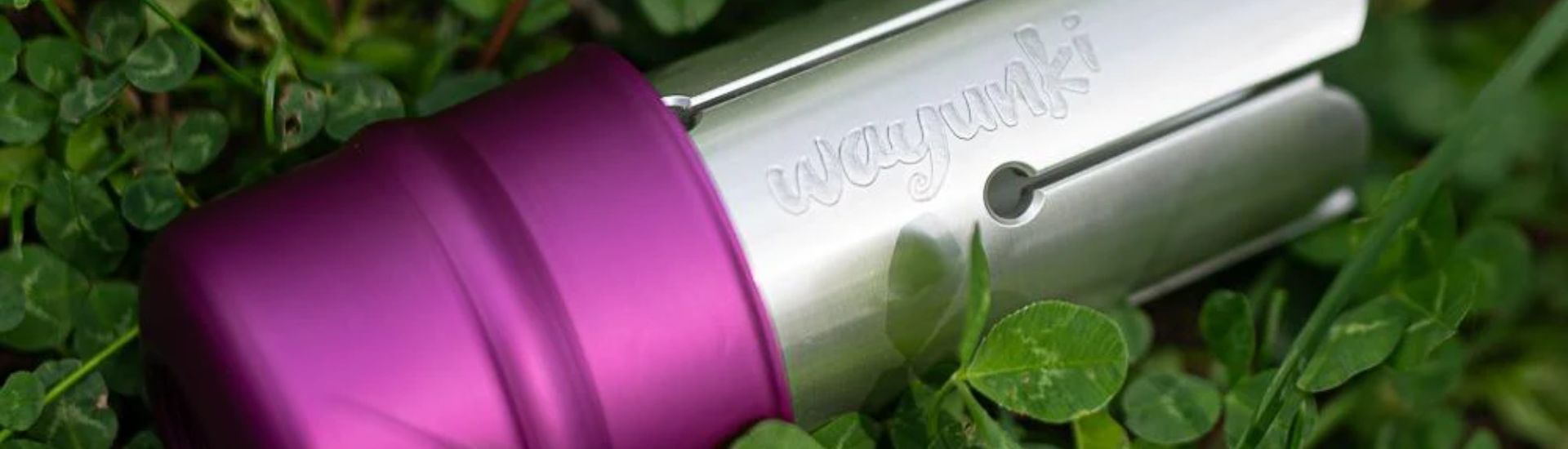 Wayunki: Armonia in 6 Note