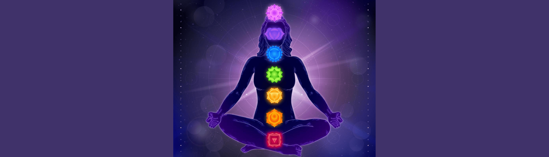Handpan e chakra - VibraSonic Music Store