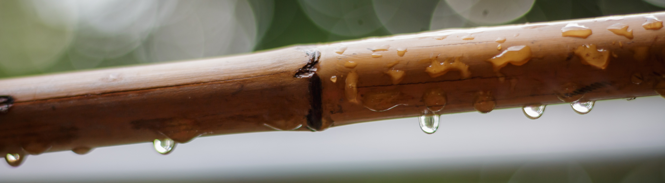 Rainmaker: Il Suono della Pioggia per il Benessere e la Meditazione