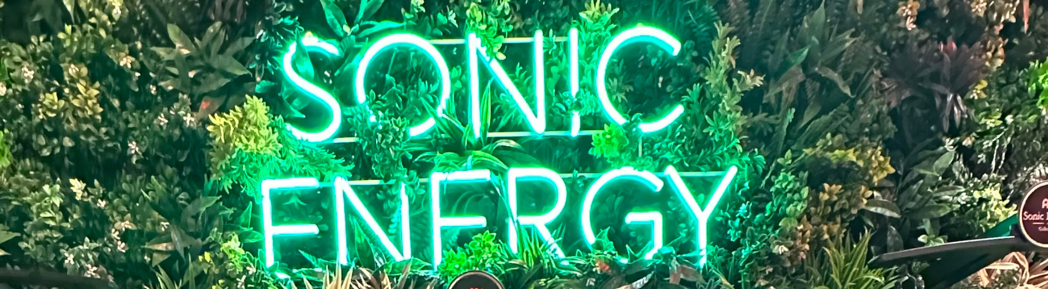 VibraSonic al Meinl Sonic Energy Annual Kick Off Day Event 2025