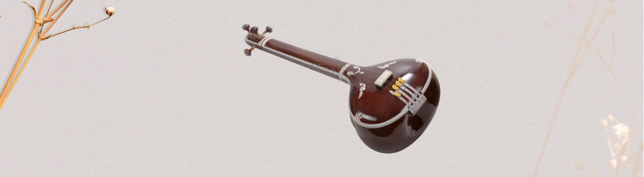 Tanpura Calcutta Standard: La Tradizione Sonora dell’India a Portata di Mano