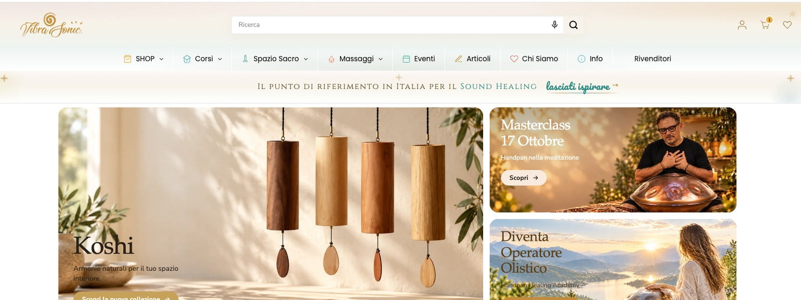 Home page Vibrasonic aggiornata