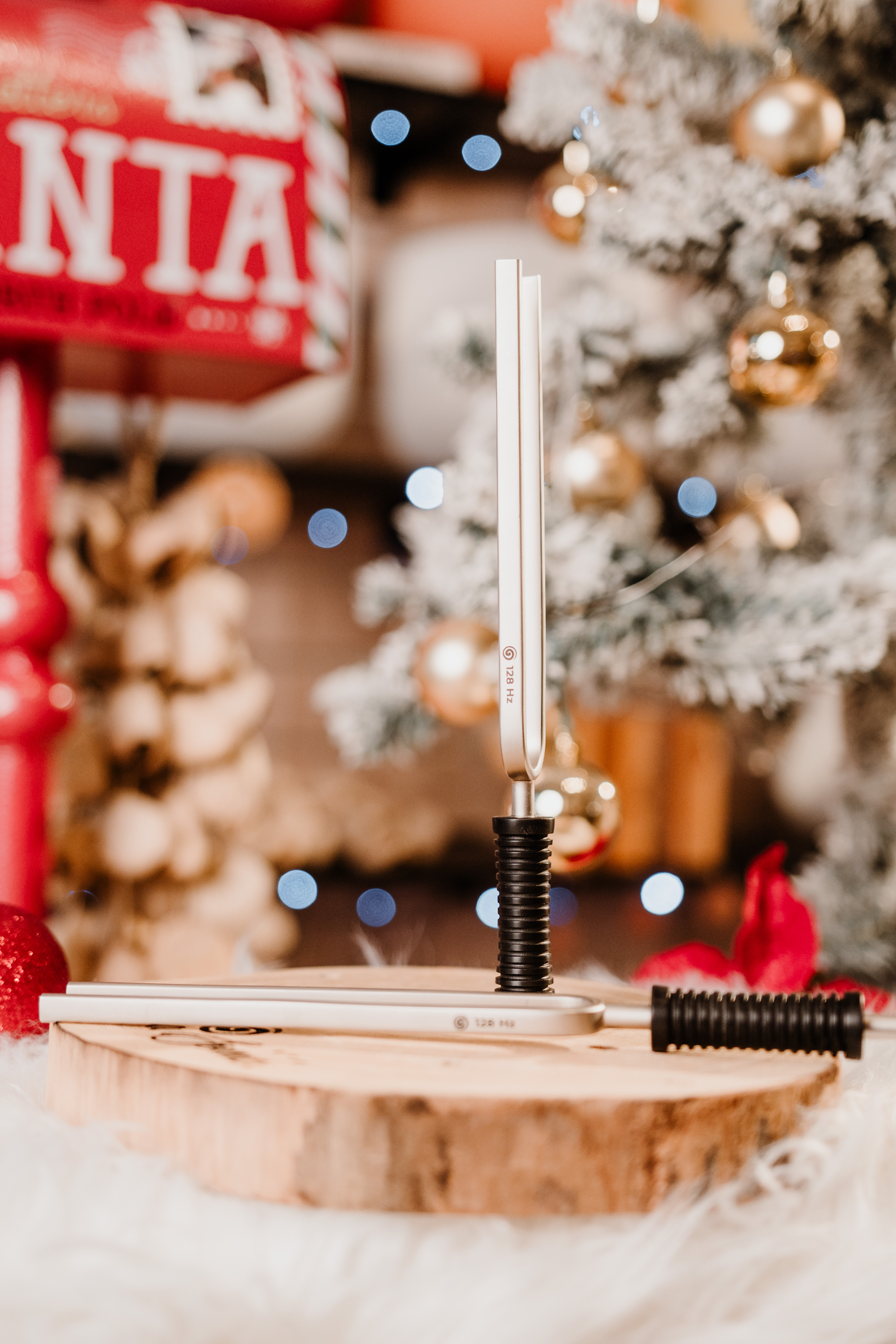 VibraSonic Music Store