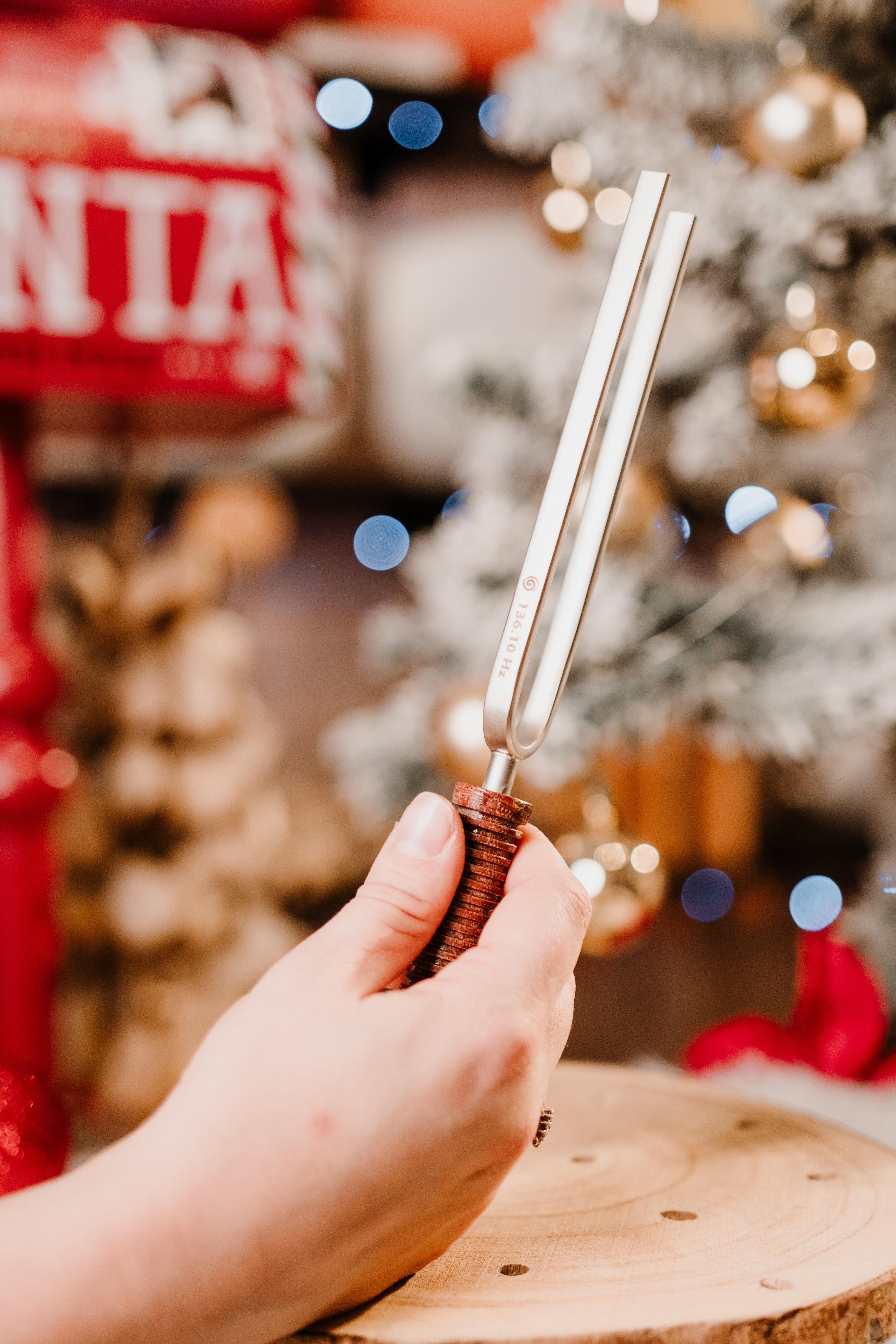 VibraSonic Music Store