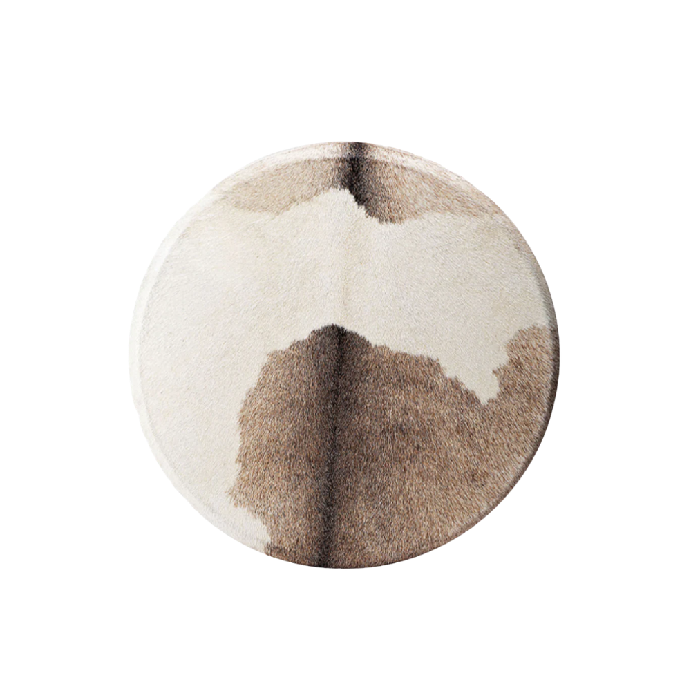 Tamburi Sciamanici