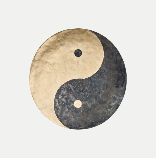 VibraSonic Music Store