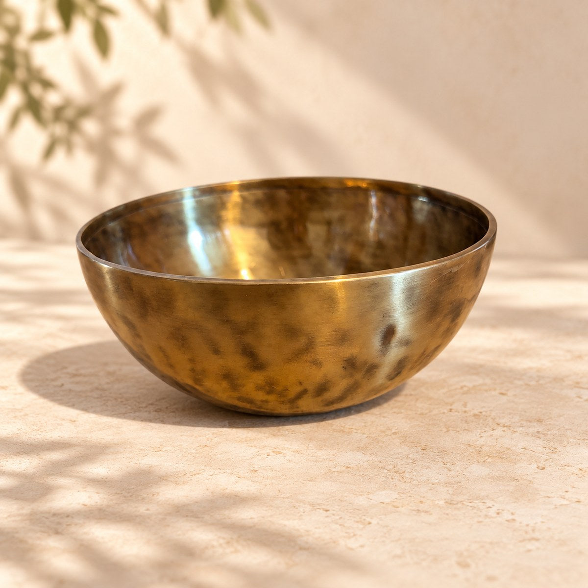 Campana tibetana Full Moon VS-RNV-CT-31, vista laterale, ambientazione still life Vibrasonic