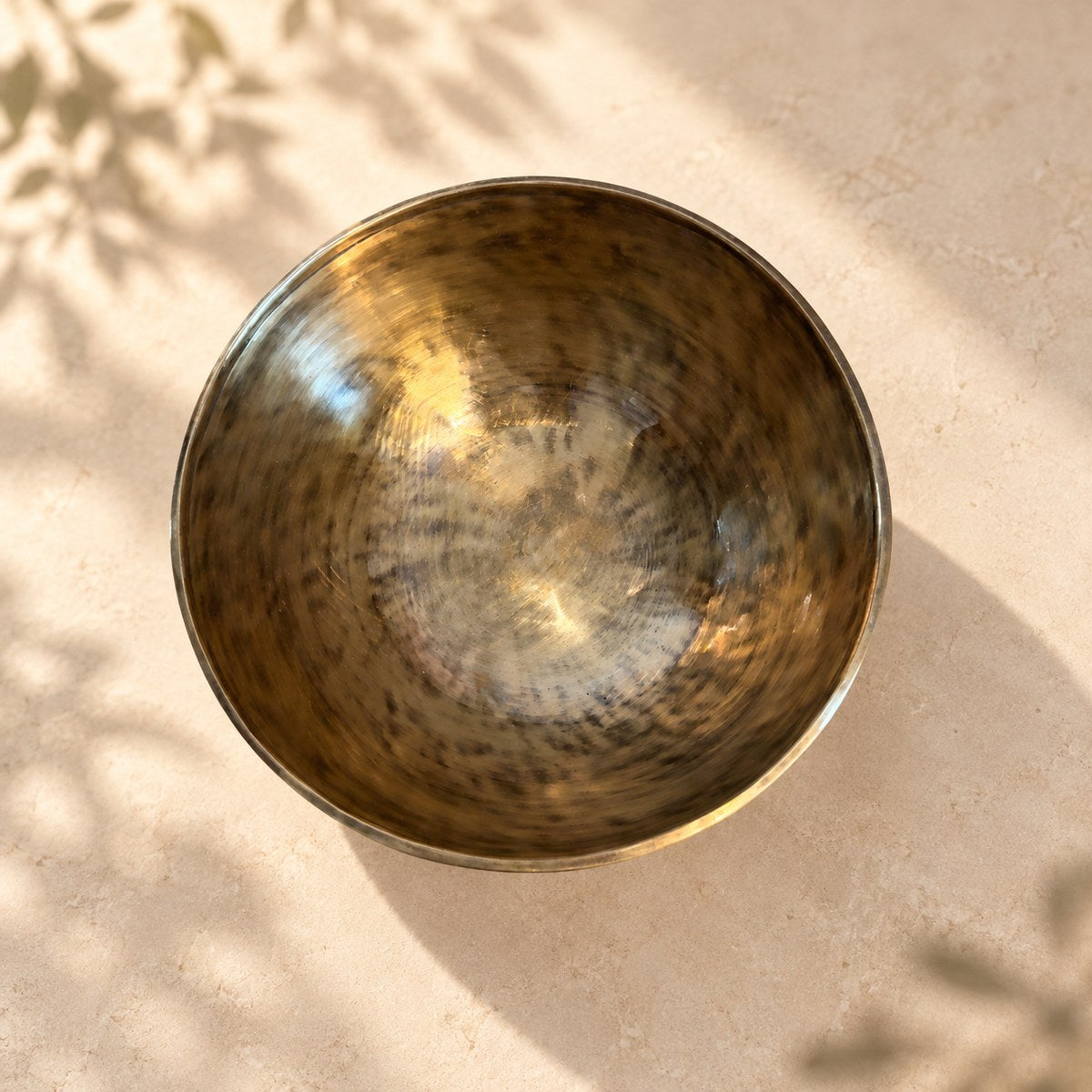 Campana tibetana VS-RNV-CT-31, vista dall’alto verso l’interno, ambientazione still life Vibrasonic
