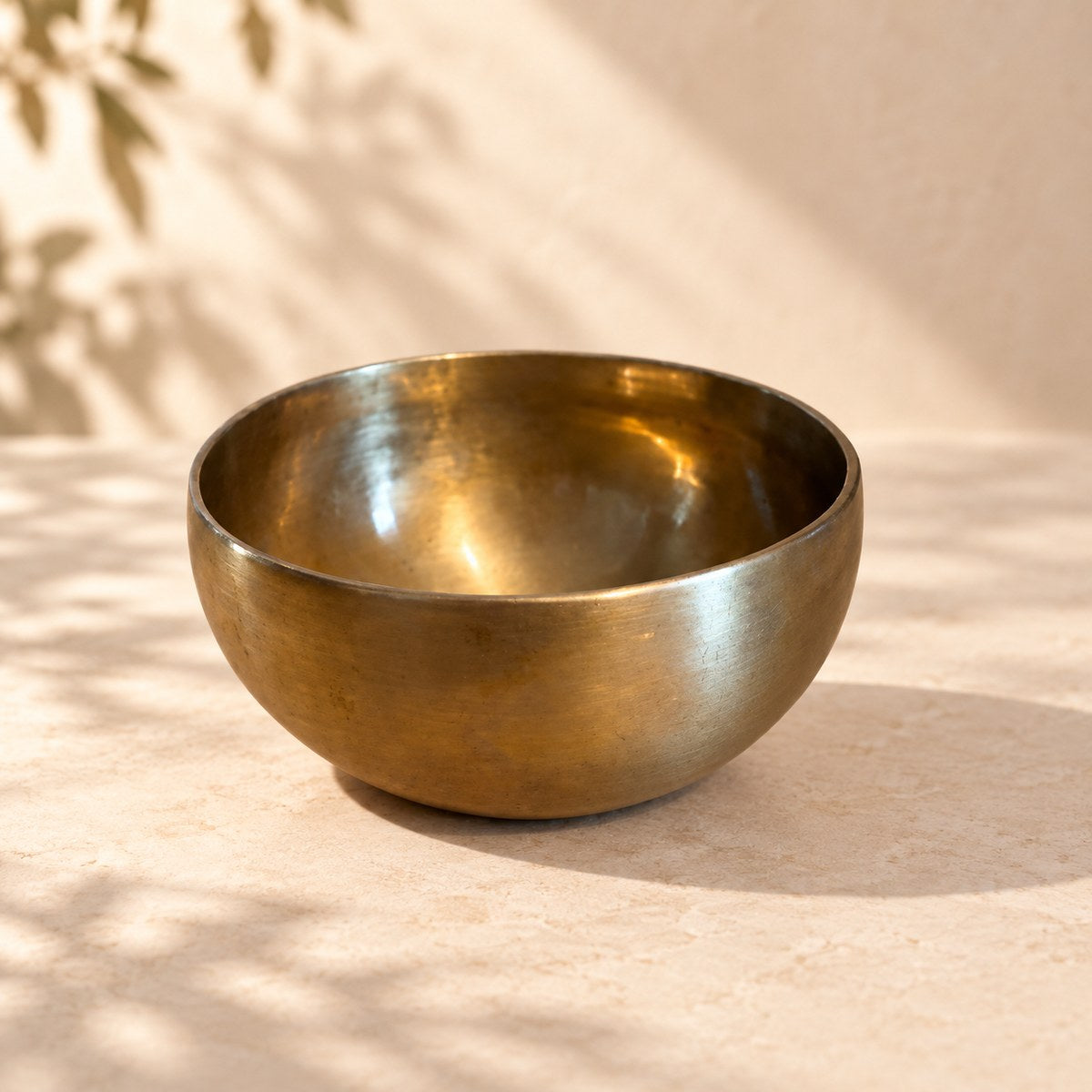 Campana tibetana VS-RNV-CT-33, vista laterale, ambientazione still life Vibrasonic