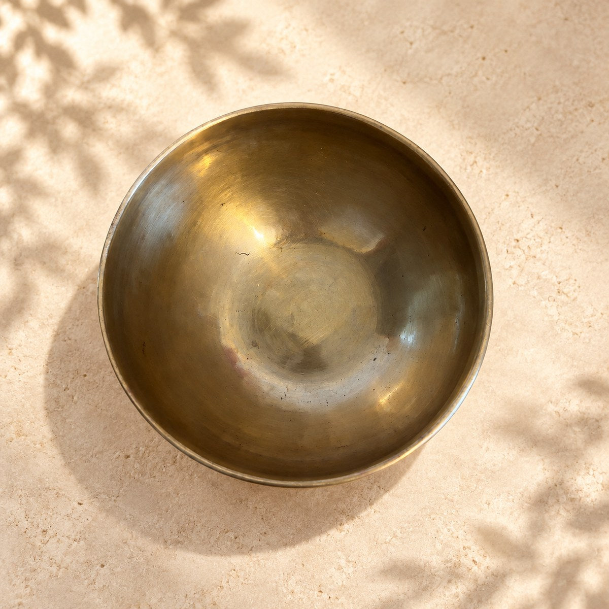 Campana tibetana VS-RNV-CT-33, vista dall’alto verso l’interno, ambientazione still life Vibrasonic