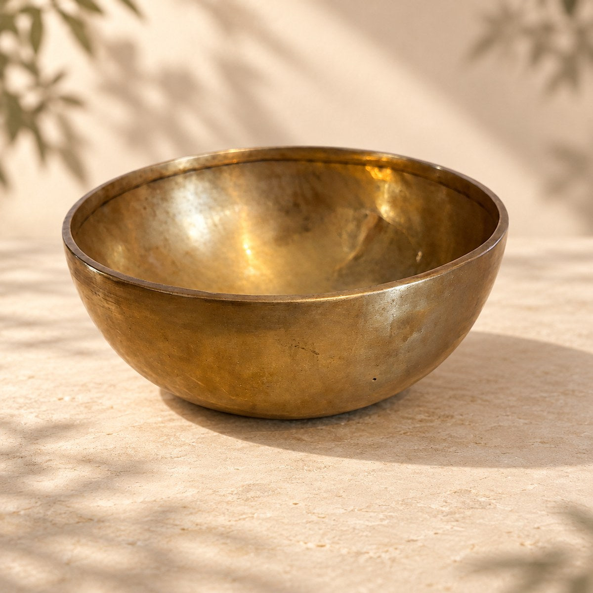 Campana tibetana VS-RNV-CT-37, vista laterale, ambientazione still life Vibrasonic