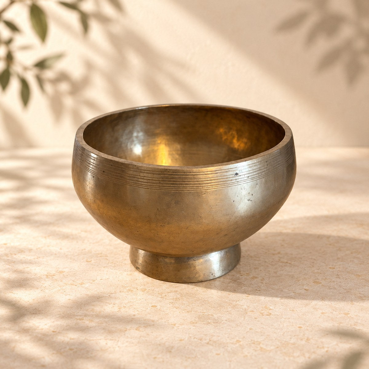 Campana tibetana sciamanica VS-RNV-CT22, vista laterale in ambientazione still life Vibrasonic