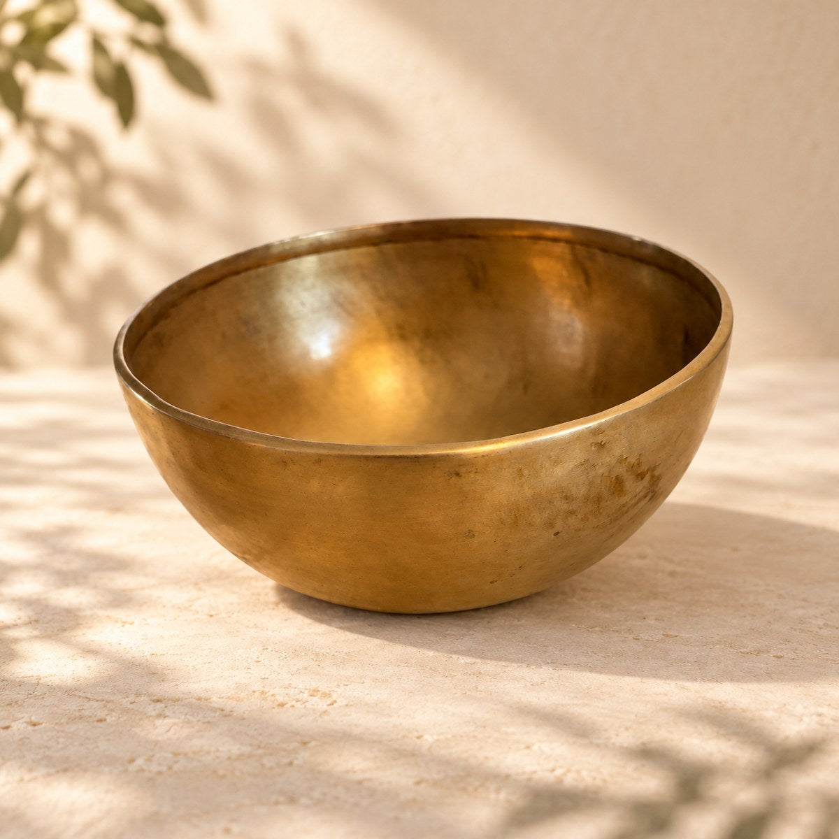 Campana tibetana VS-RNV-CT-41, vista laterale, ambientazione still life Vibrasonic