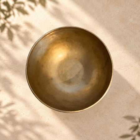 Campana tibetana VS-RNV-CT-41, vista dall’alto verso l’interno, ambientazione still life Vibrasonic
