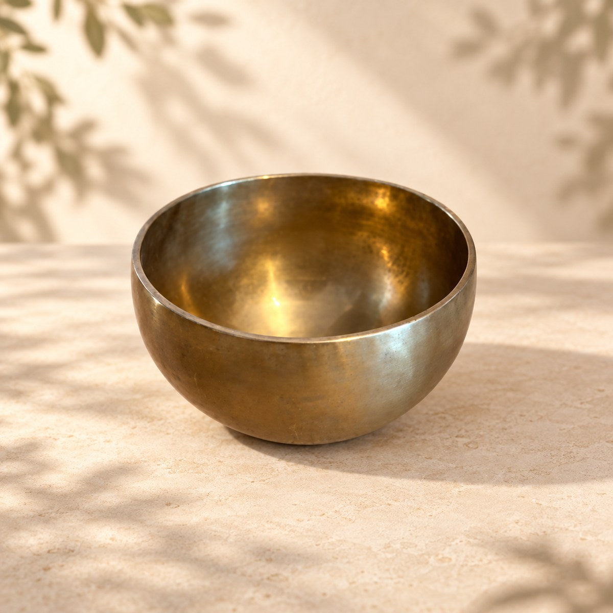 Campana tibetana VS-RNV-CT-42, vista laterale, ambientazione still life Vibrasonic