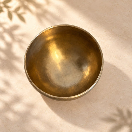 Campana tibetana VS-RNV-CT-42, vista dall’alto verso l’interno, ambientazione still life Vibrasonic