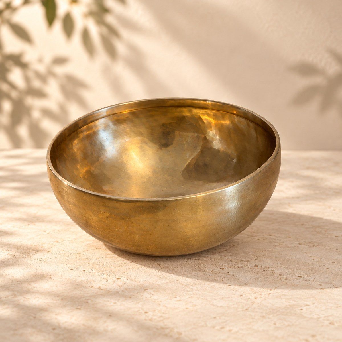 Campana tibetana VS-RNV-CT-43, vista laterale, ambientazione still life Vibrasonic
