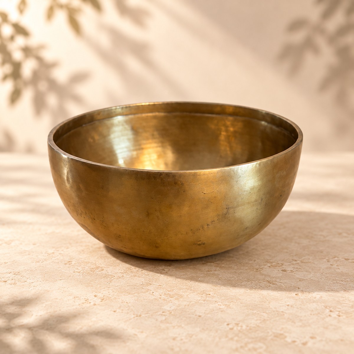 Campana tibetana VS-RNV-CT-44, vista laterale, ambientazione still life Vibrasonic