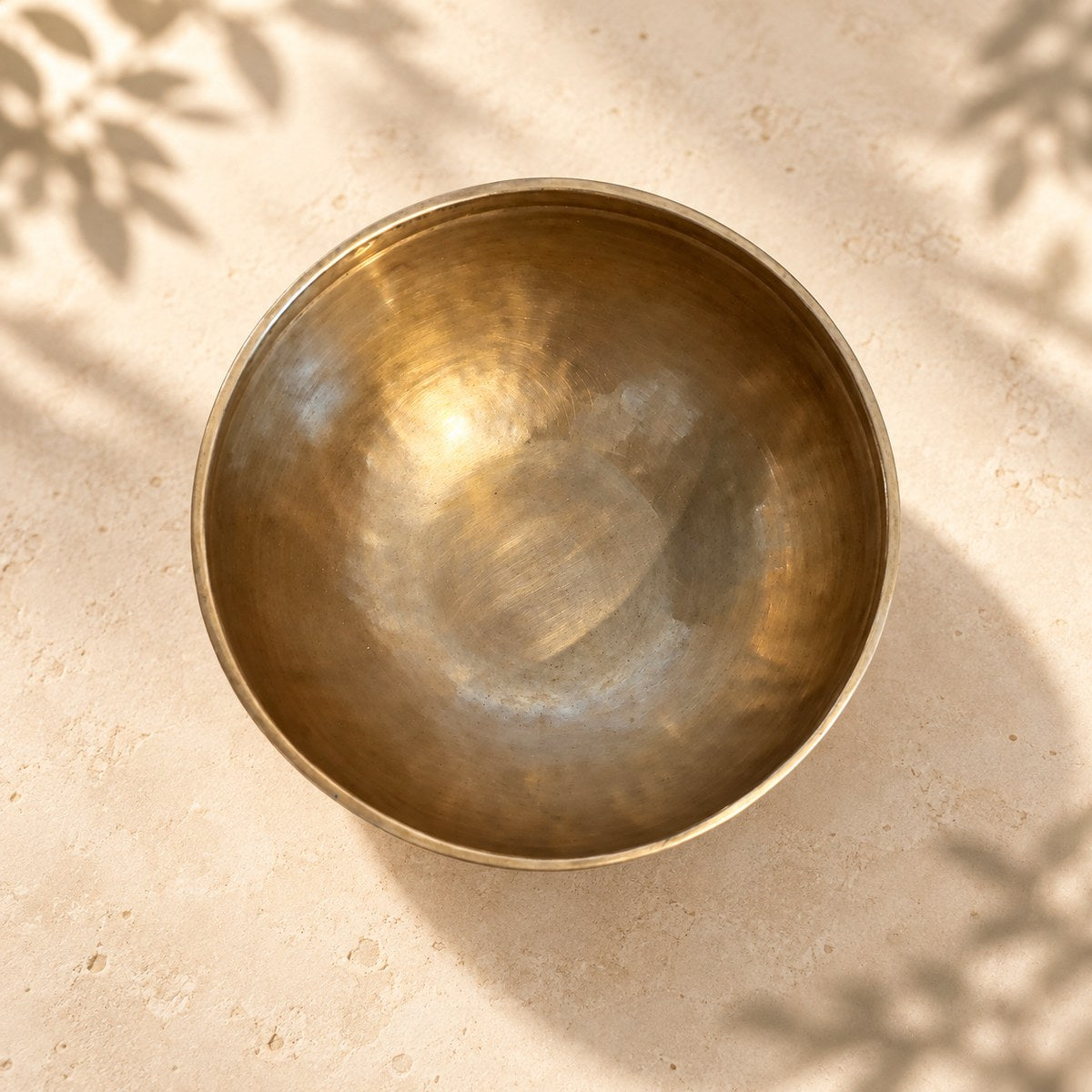 Campana tibetana VS-RNV-CT-44, vista dall’alto verso l’interno, ambientazione still life Vibrasonic
