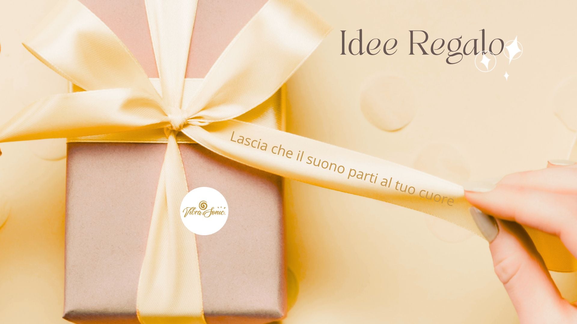 VibraSonic Music Store