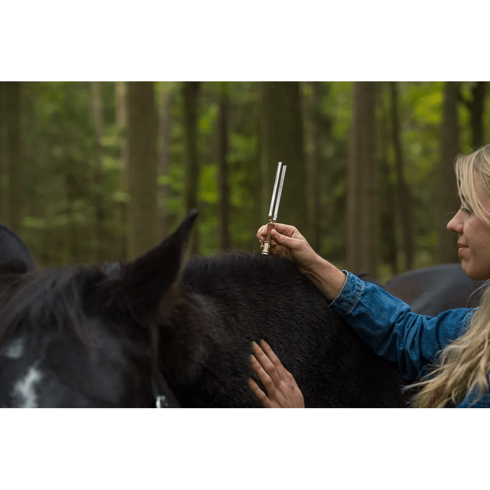 Accessori Diapason: piedino piatto piccolo - VibraSonic