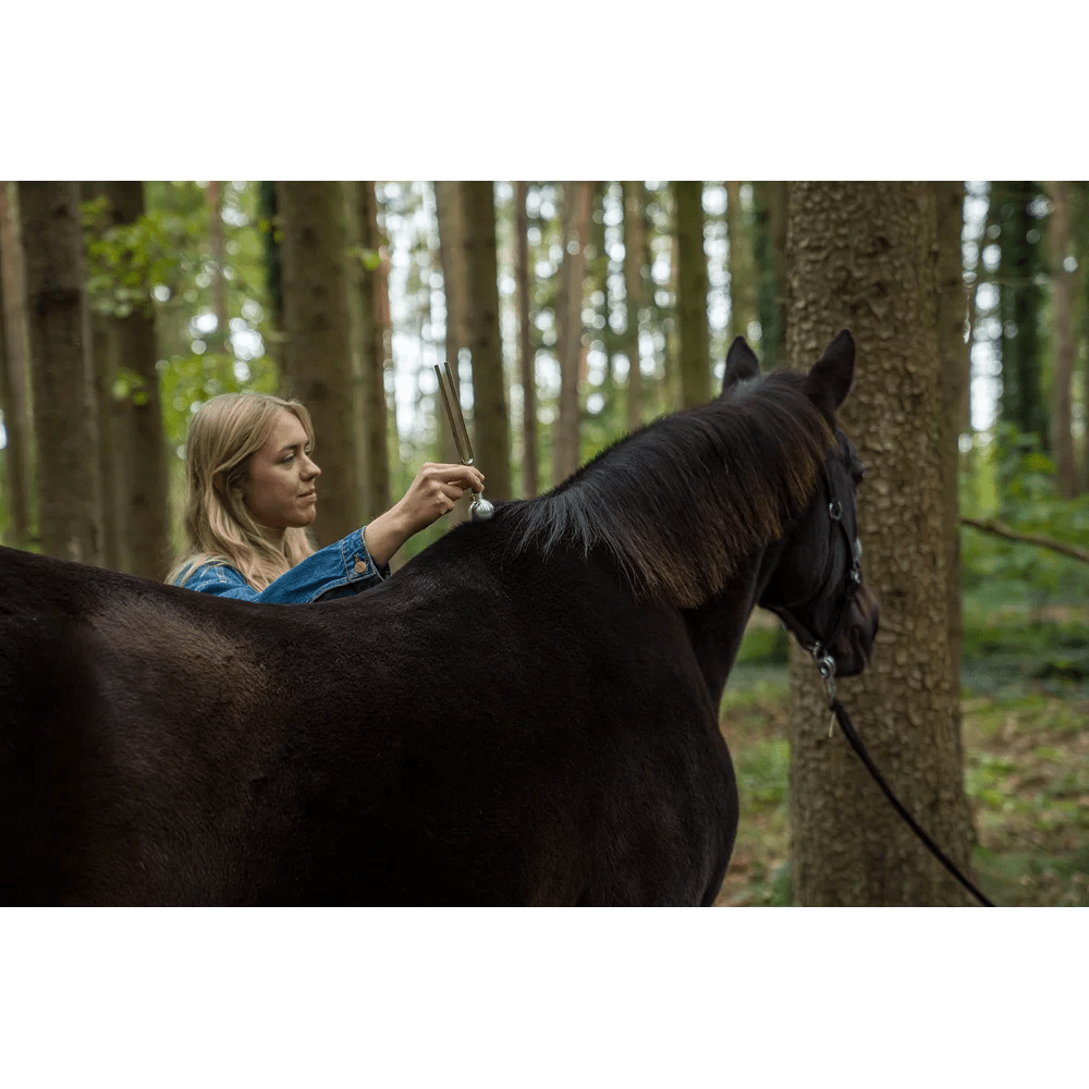 Accessori Diapason: piedino tondo grande - VibraSonic