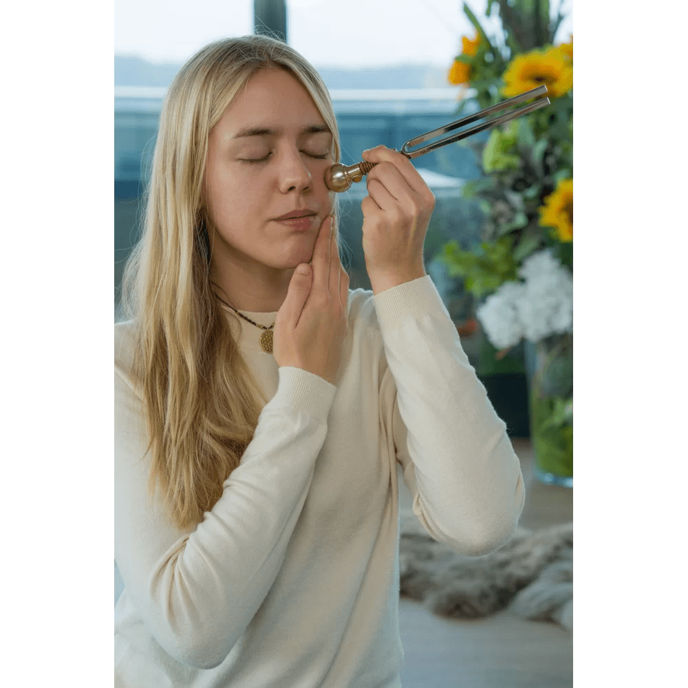 Accessori Diapason: piedino tondo medio - VibraSonic