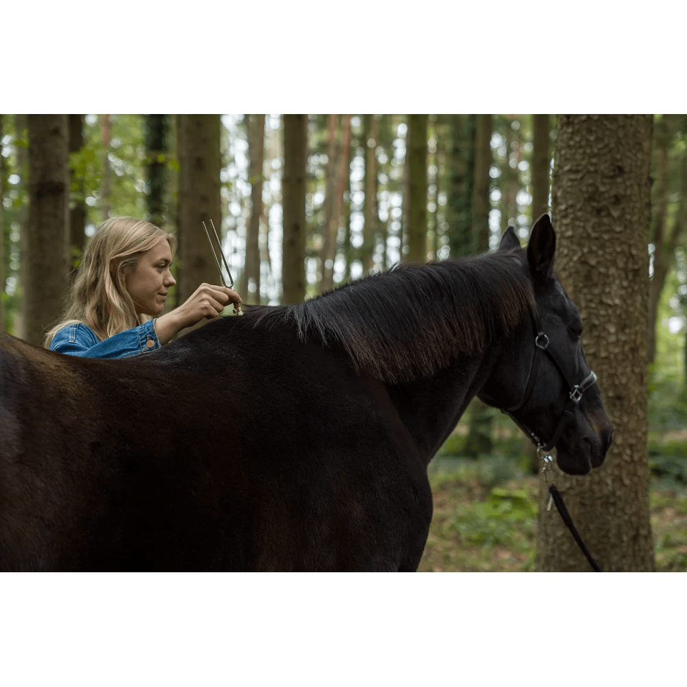 Accessori Diapason: piedino tondo piccolo - VibraSonic