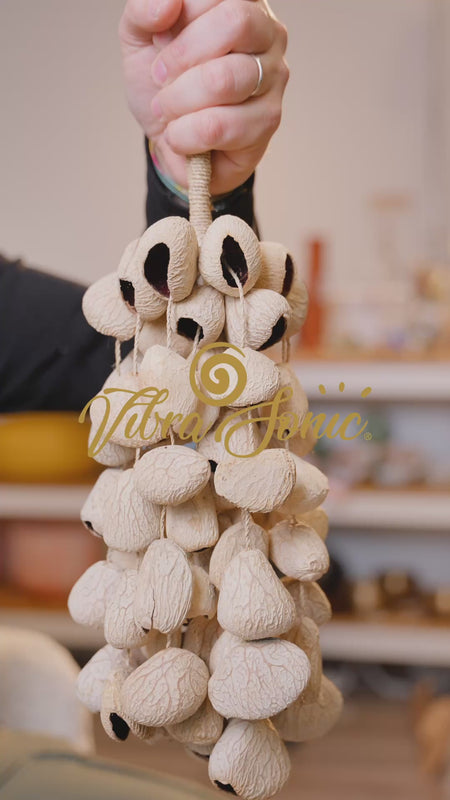 Pangi XXL Seedshaker – Natural Rattle with 70-80 Pangi Nutshells