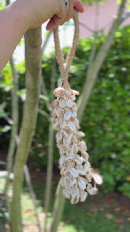 Sonaglio Sea Shell – Vibrasonic
