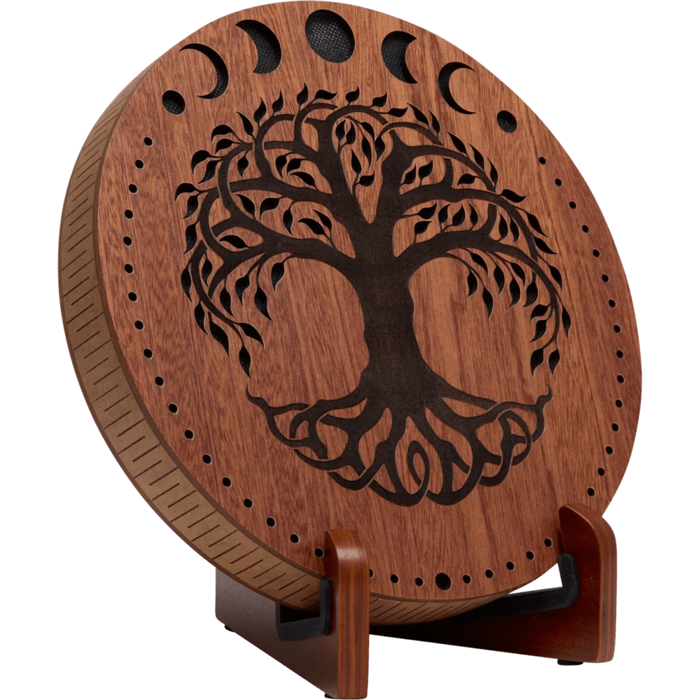 Rain Disk 10” Meinl Sonic Energy – Suono dell’Acqua - VibraSonic Music Store