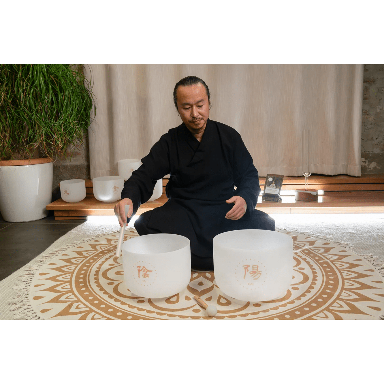 Set di 2 Campane di Cristallo TCM – Yin & Yang - VibraSonic Music Store