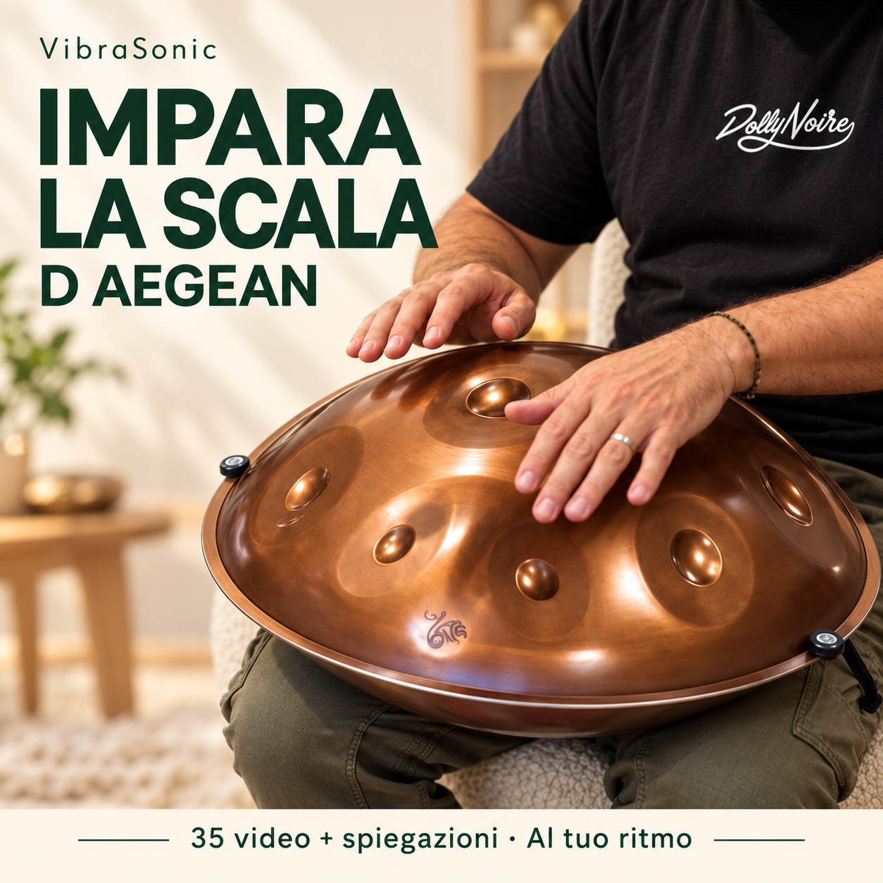 Impara la scala D Aegean. Mani che suonano l’handpan, 35 video più spiegazioni, al tuo ritmo.