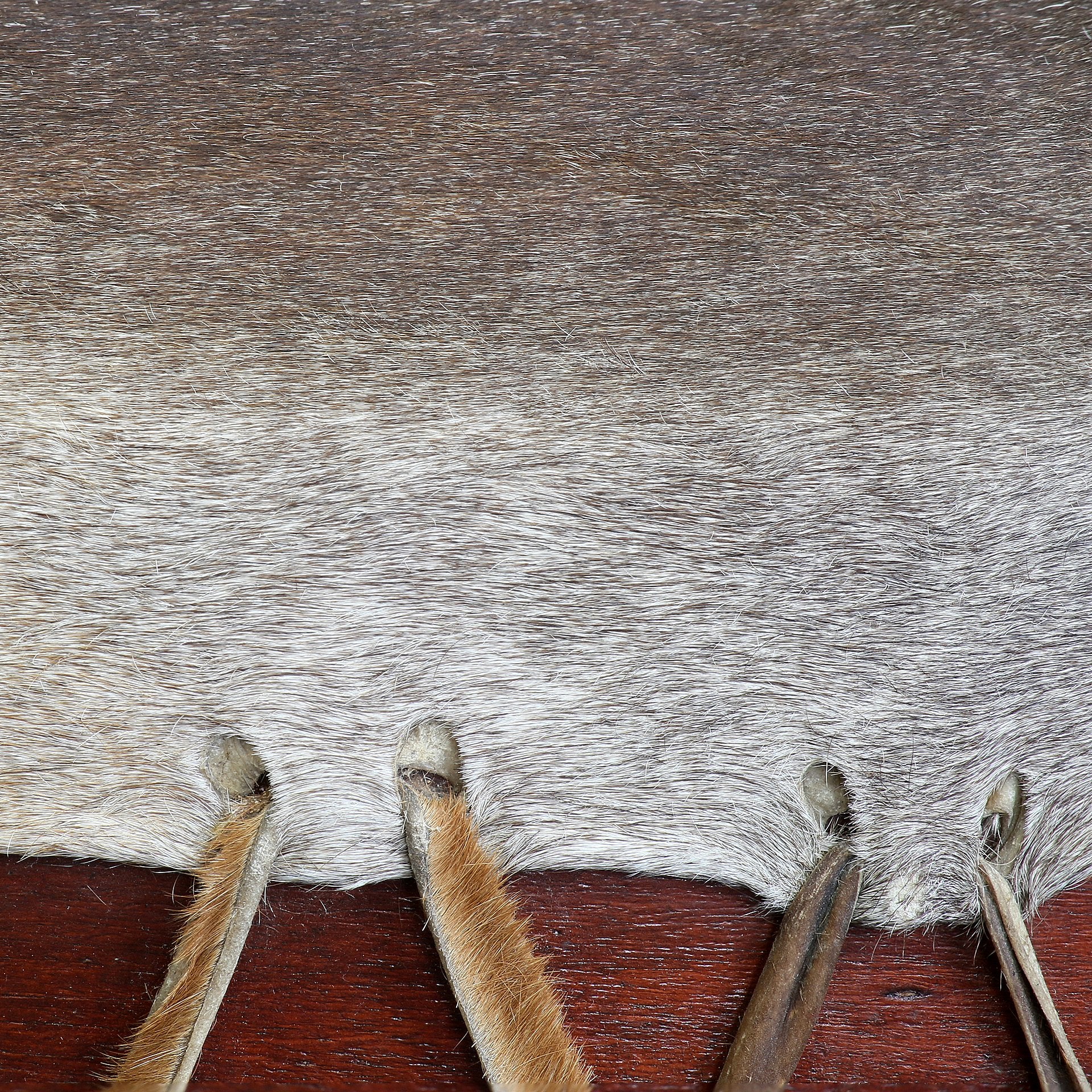 Motherdrum 100 cm – foto 6